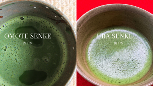 Does Matcha Need Foam? How to Whisk Matcha the Right Way