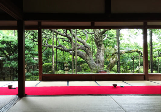 Ippuku matcha ritual – a quiet mindful pause in New Zealand