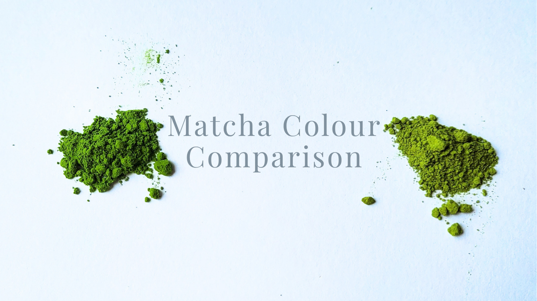 Comparison of vibrant green and pale matcha powder showing colour difference