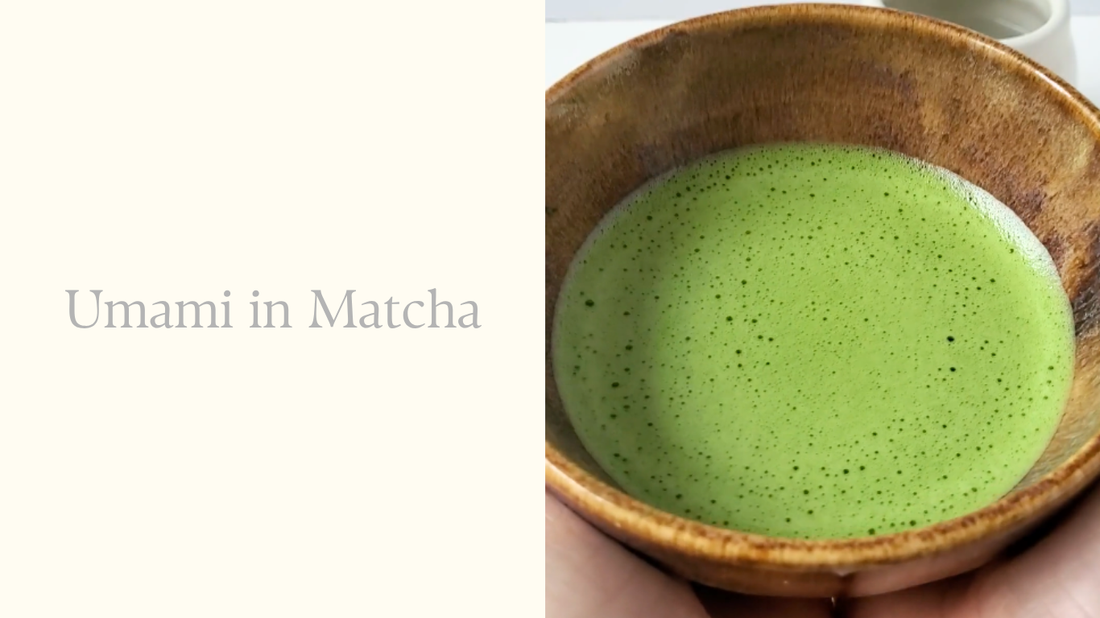 A bowl of premium Japanese matcha showing its rich green colour and smooth texture, representing the umami flavour of high-quality matcha.